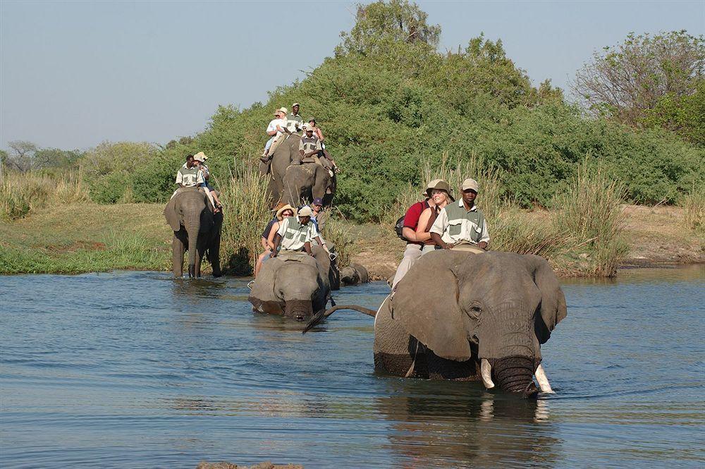 Three Cities Thorntree River Lodge Livingstone Eksteriør billede