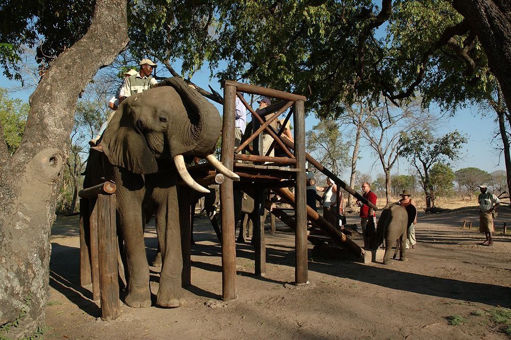 Three Cities Thorntree River Lodge Livingstone Eksteriør billede